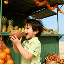 Artsy Splash - Lime Green - SurfSprouts