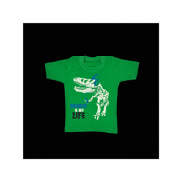 Glow In the Dark Dino T - 4 Year Old - SurfSprouts