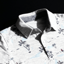 Oasis - Gray - SurfSprouts